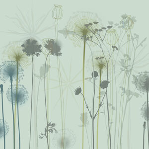 Wallframe Pattern - DANDELION