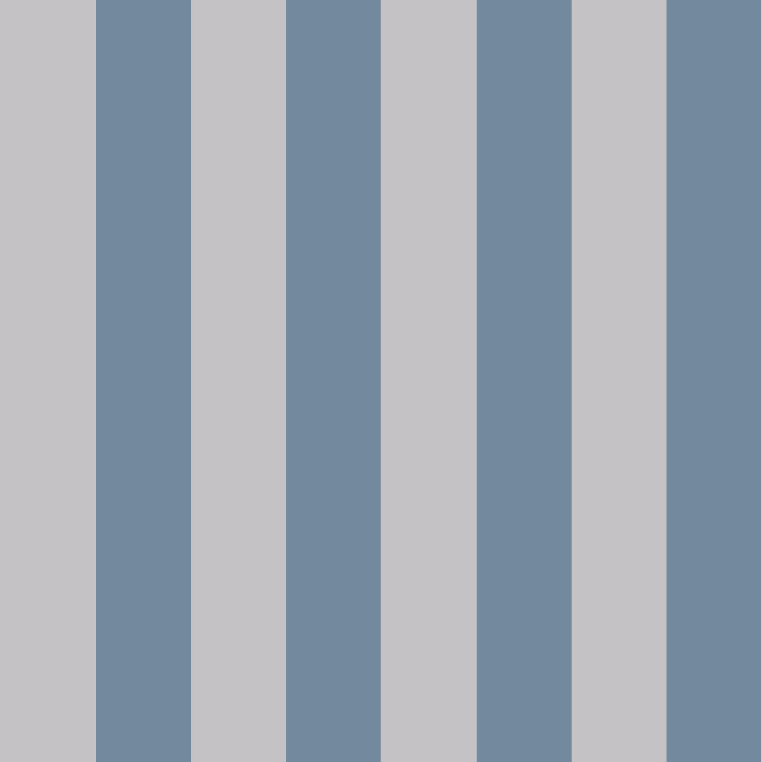 Stripes_05