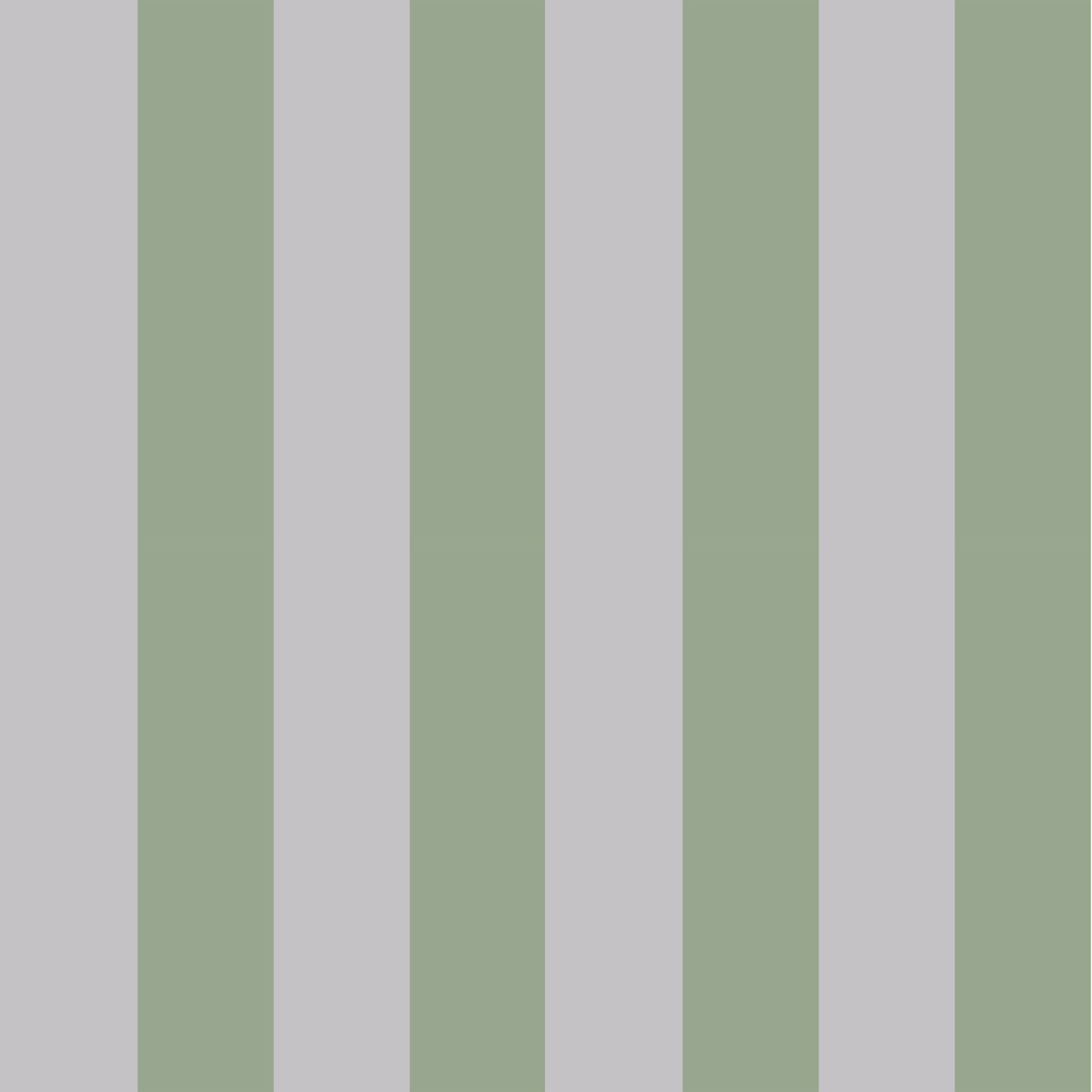Stripes_07