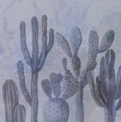 Succulents_01